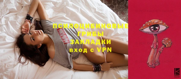 ALPHA PVP Кинешма