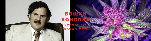 ALPHA PVP Кинешма