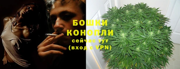 ALPHA PVP Кинешма